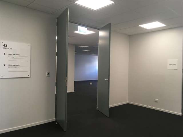 Level 1, 43 Hanson Street Mt Cook_1