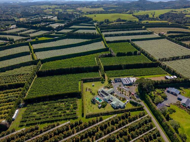 581D Kerikeri Road Kerikeri_12