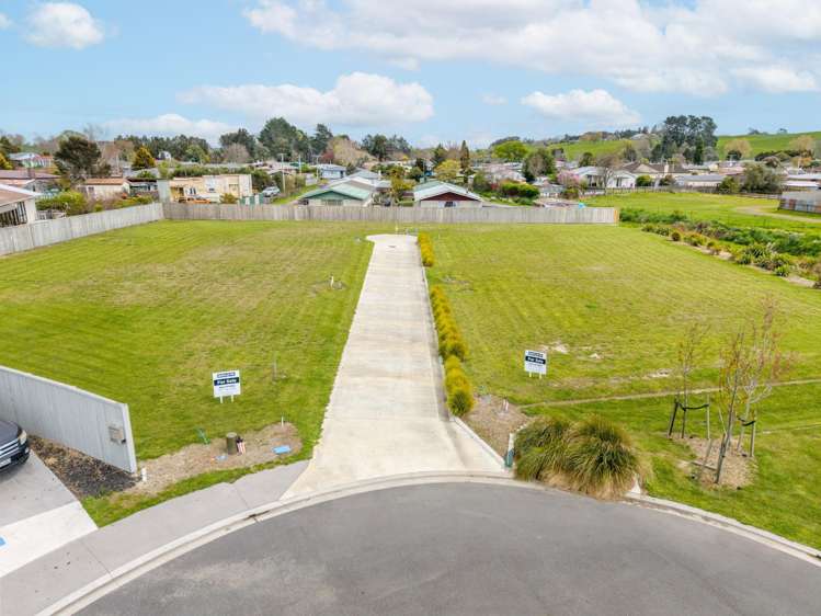 Scotia Glen Street Putaruru_5