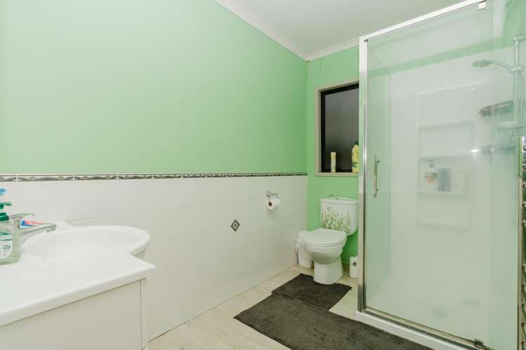 44A Willoughby Street Whitiora_12