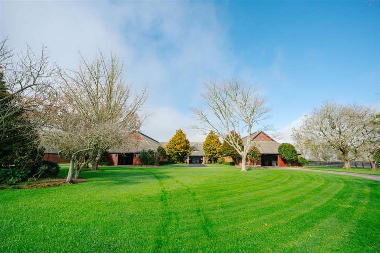 122 Rotoorangi Road Cambridge_14