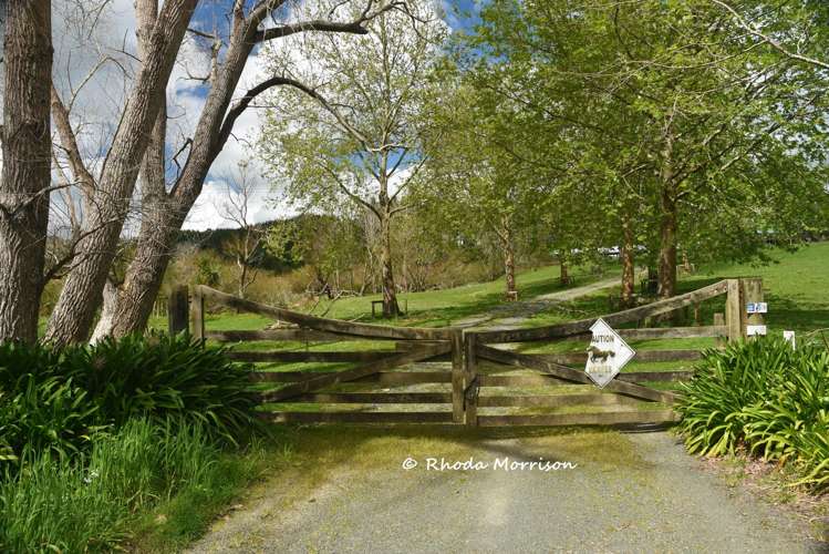 726 Paparoa Station Road Maungaturoto_74