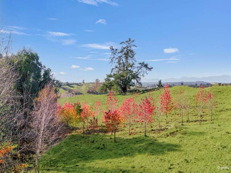 370 Rosedale Road Upper Moutere_6