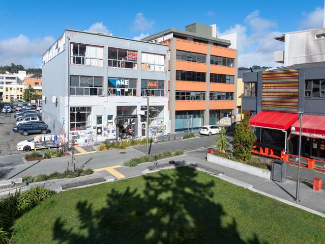 17 Garrett Street Te Aro_1