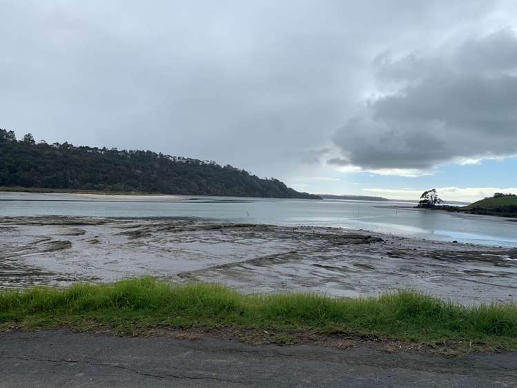 32 Okura River Road Okura_16