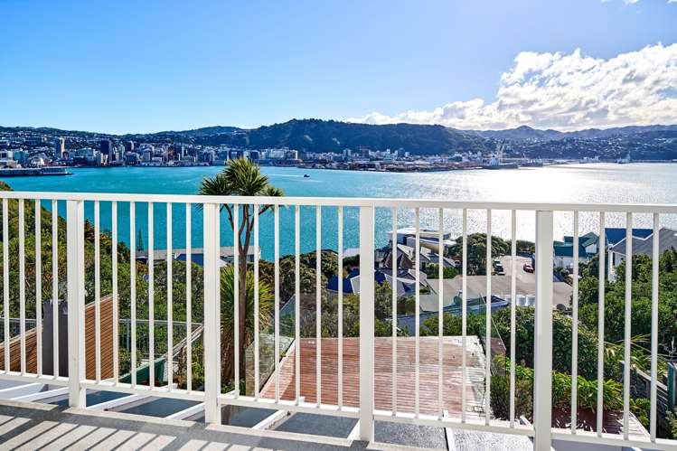 14 Grafton Road Roseneath_11