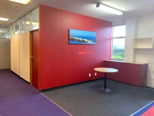 34 Perry Street Masterton_4