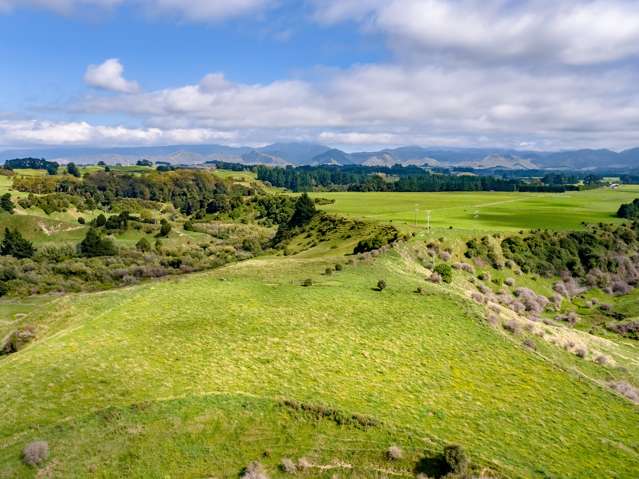 200 Garfield Road Norsewood_3