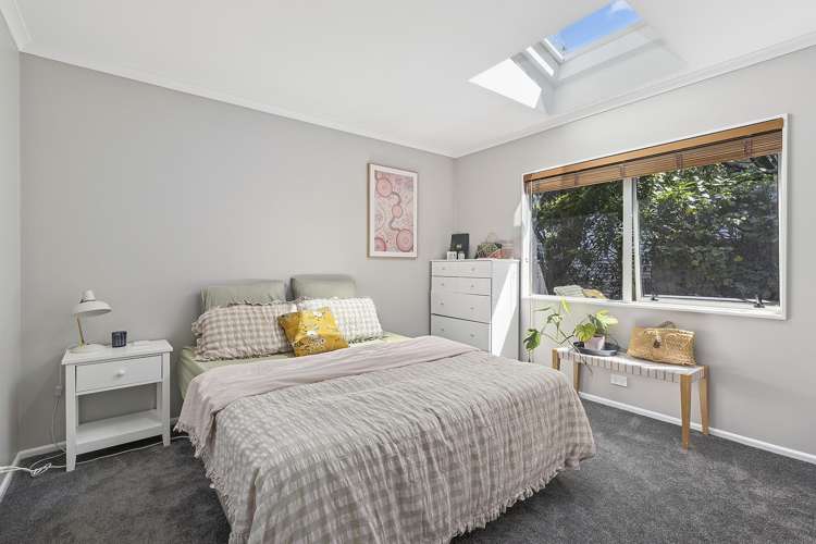 81 Nevay Road Miramar_18