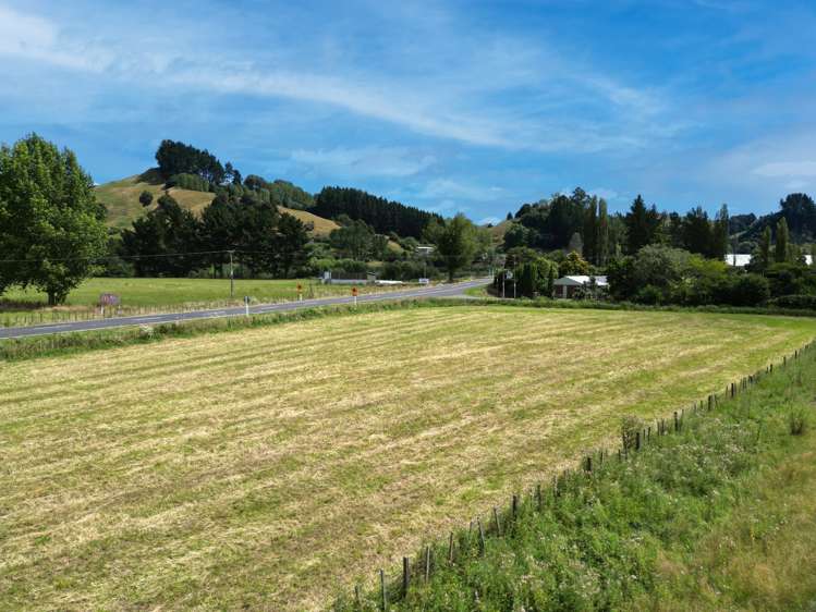 State Highway 41 Taumarunui_6