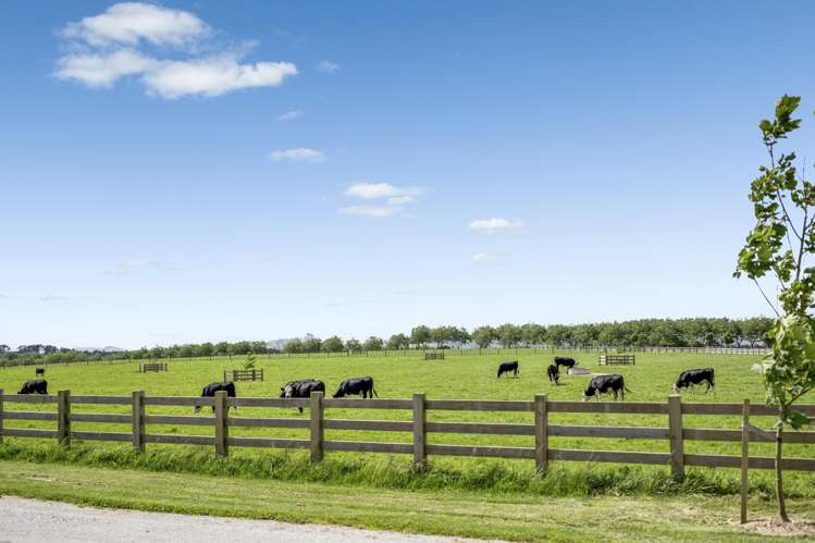 9 Hampshire Lane Karaka_24