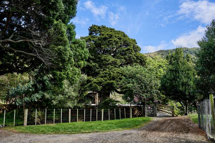 1296 Coast Road Wainuiomata Coast_28