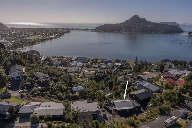 4 Pine Grove Tairua_22