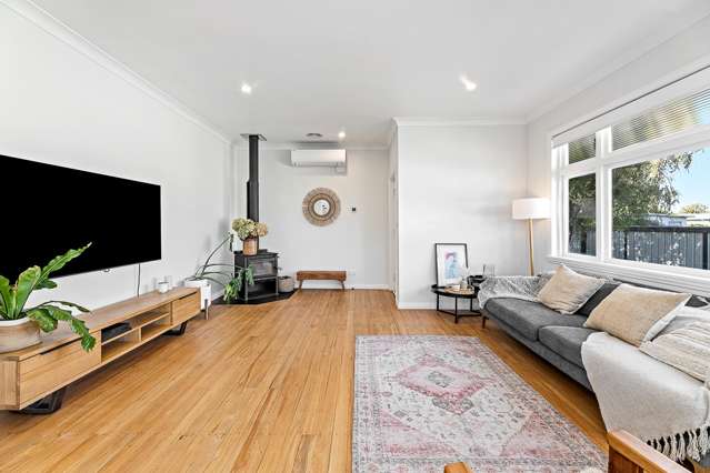 3a Eltham Road Blenheim_1