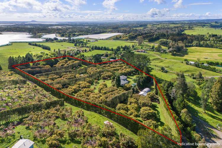 348C Rea Road Katikati_23