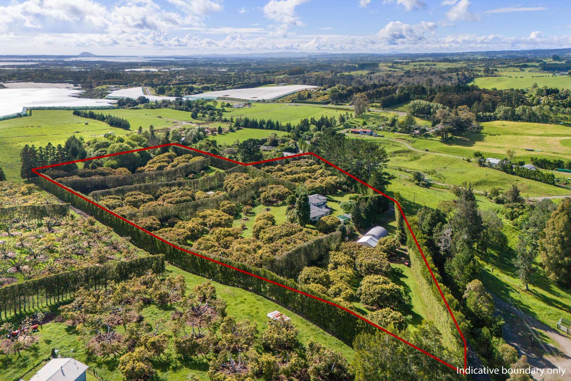348C Rea Road Katikati_0