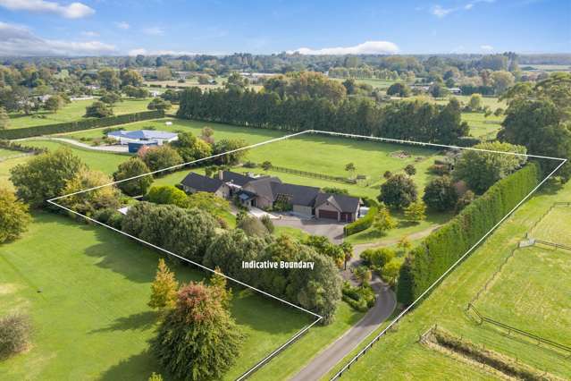 Scale, Style, and Multi‑Generational Appeal