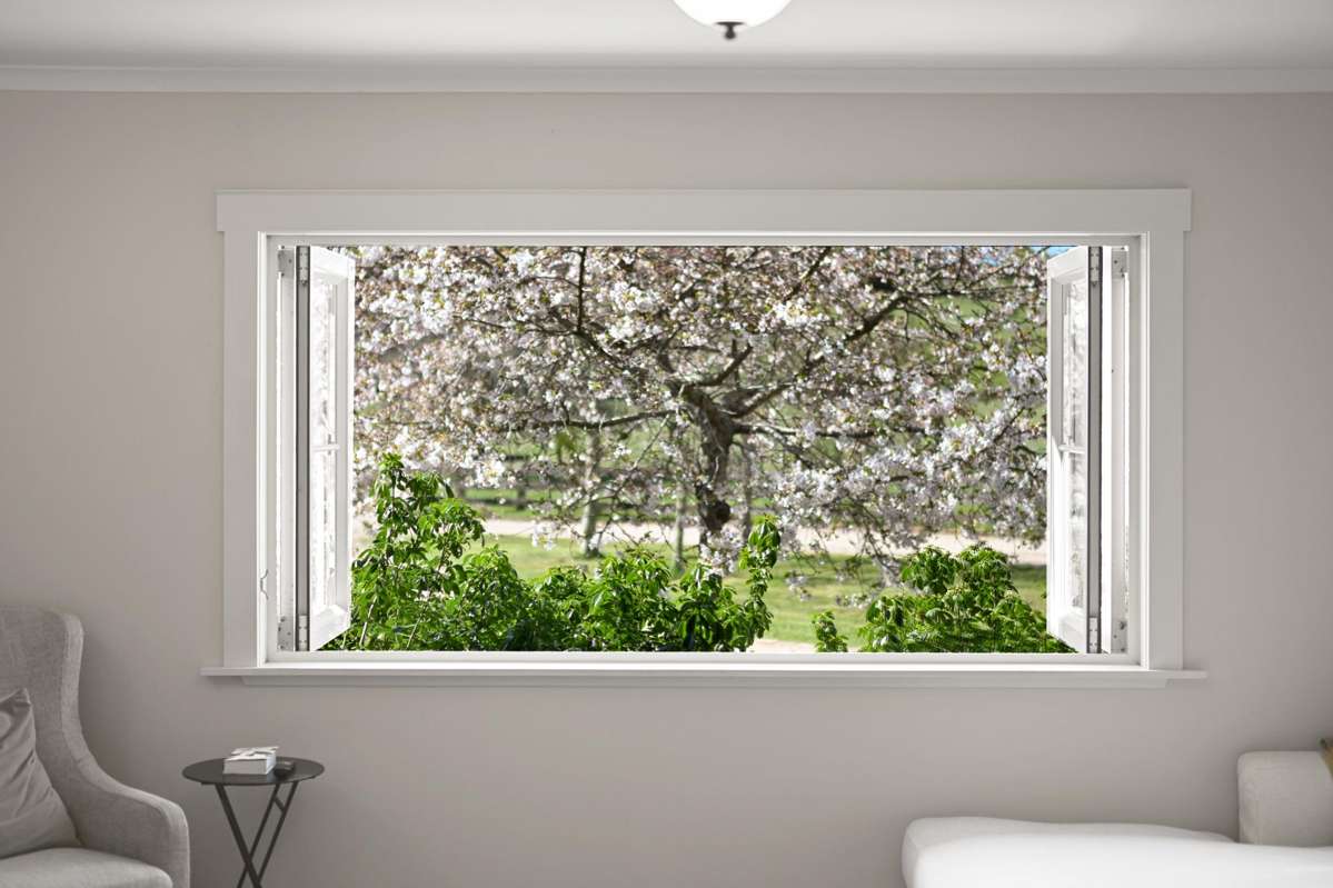 399 Rotokauri Road_2