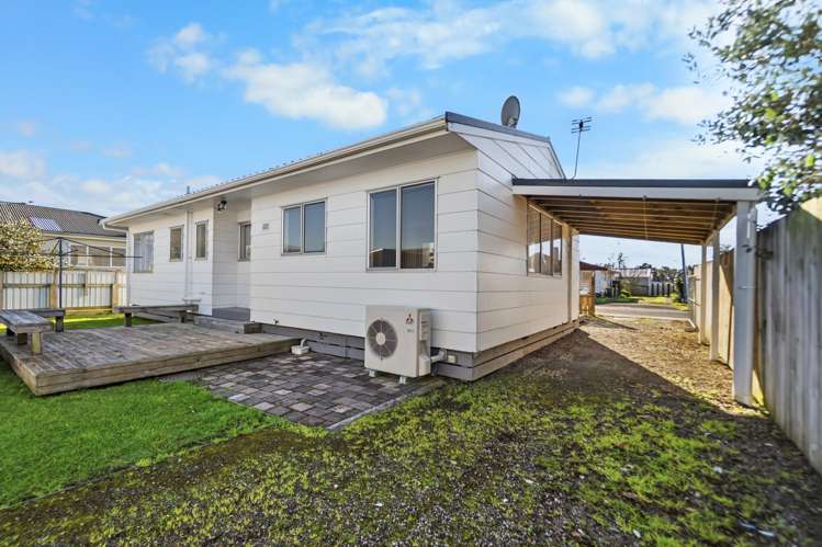 6 Roy Street Nawton_13