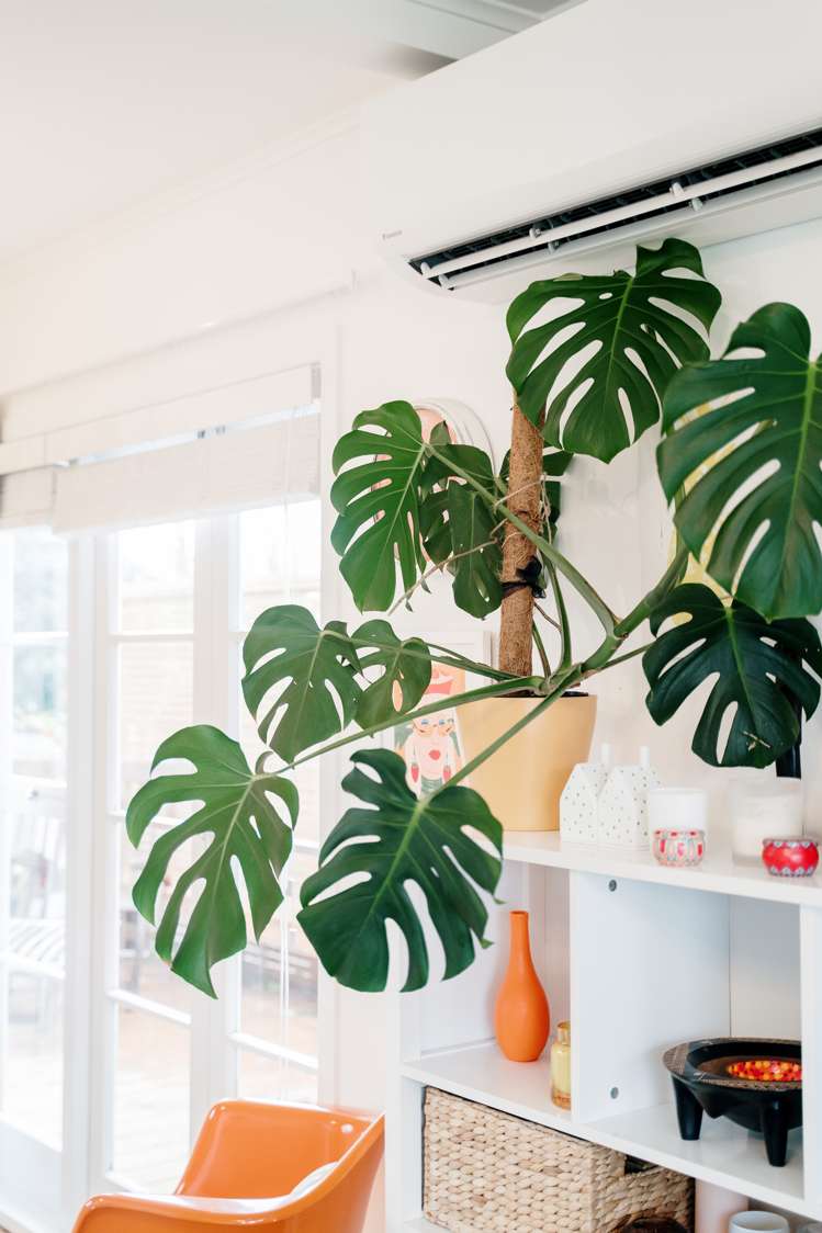 20 Winsford Street Manurewa_10