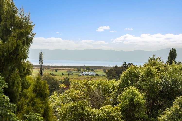 102 Whitehead Way Thames_16