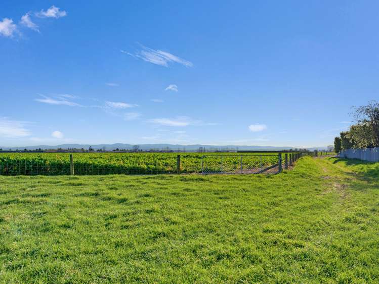 21 Dominion Road Timaru_10