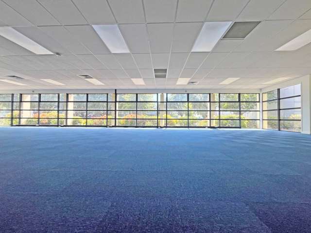 6 Rockridge Avenue Penrose_2