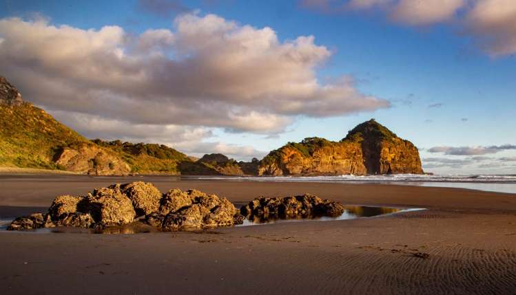 276 Bethells Road Bethells Beach_35