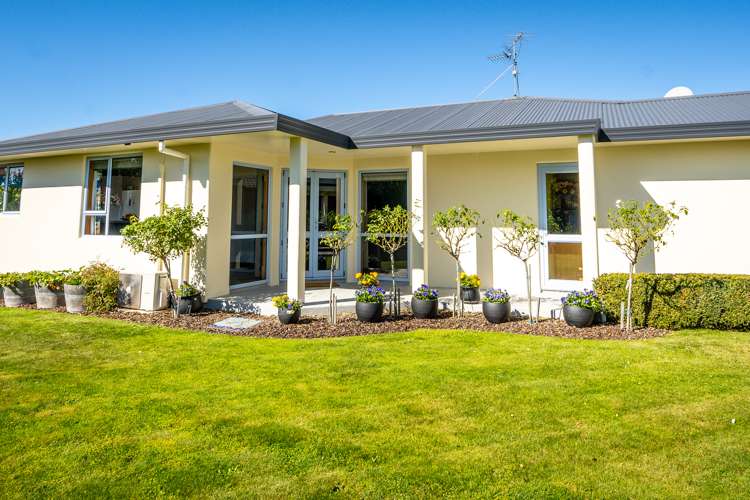 34 Page Street Redwoodtown_25