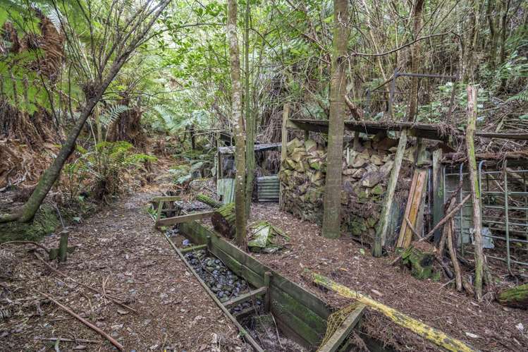 19 Sheehy Grove Wainuiomata_21