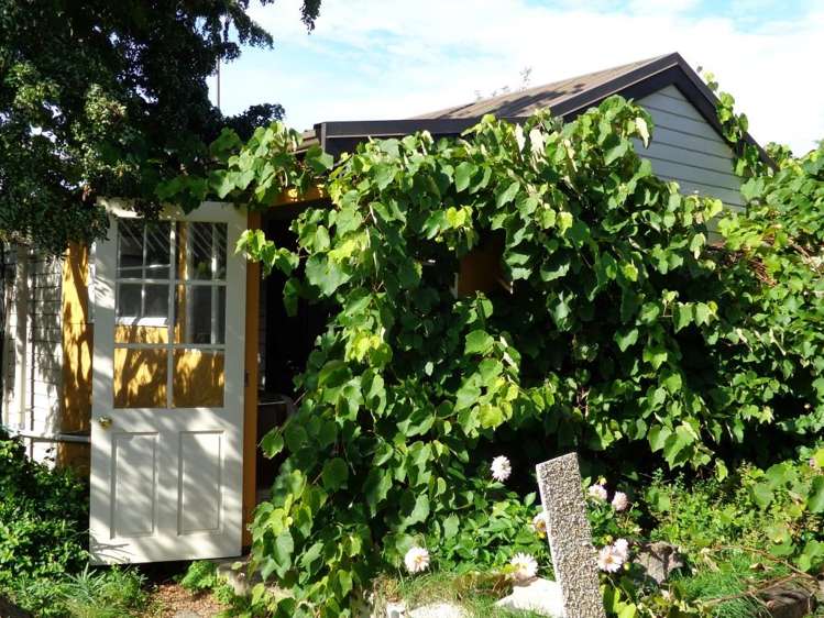 3b Birchs Road Prebbleton_12