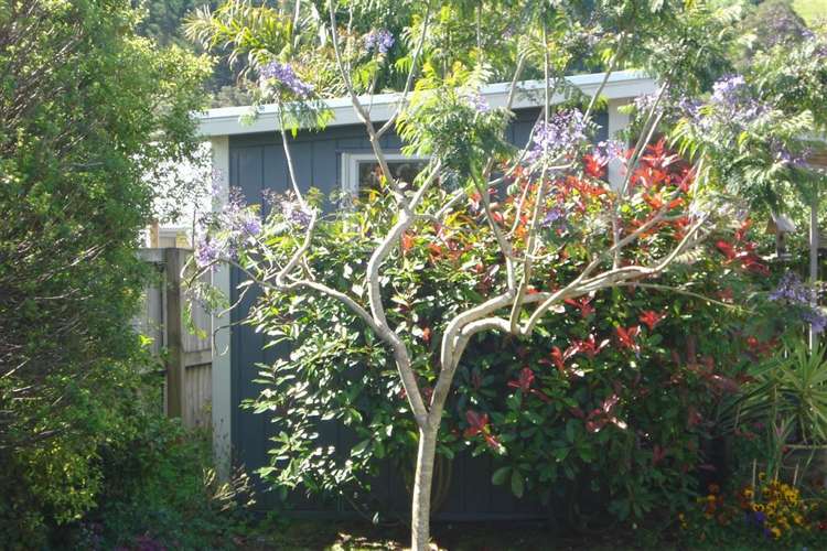 29 Captain Wood Avenue Whitianga_29