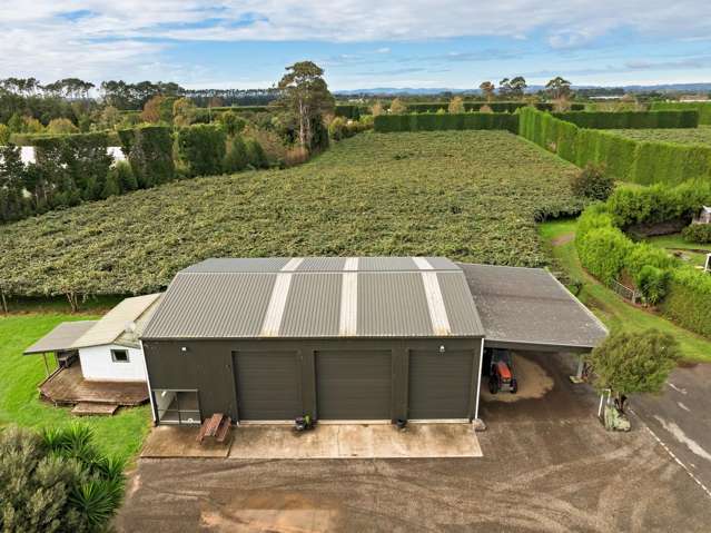 236 Walker Road East Aongatete_1