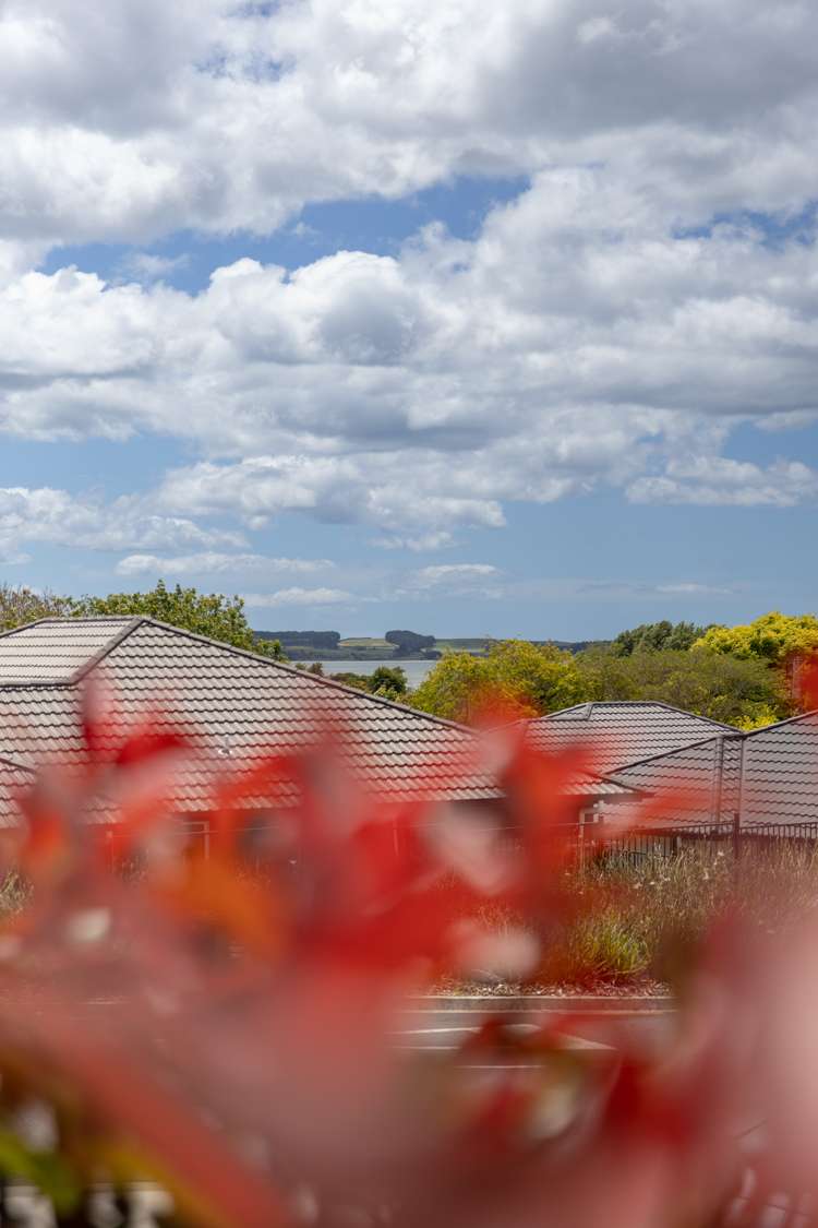 3b Richardson Road Omokoroa_1