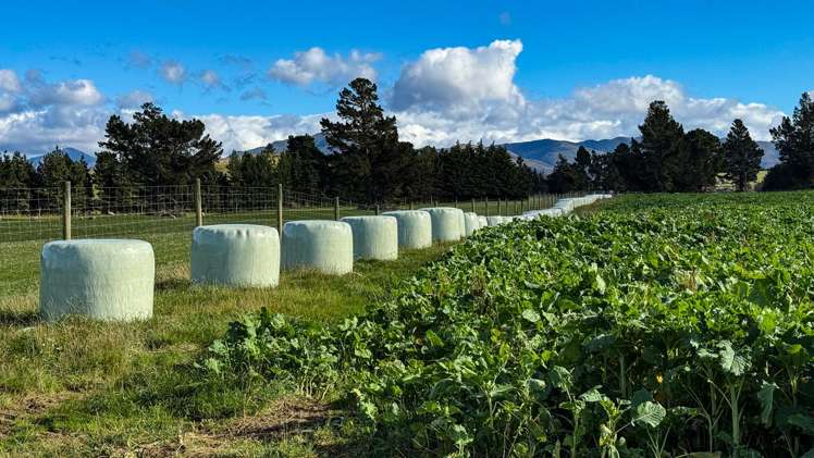 205B-219 Dunrobin Valley Road Dunrobin_2