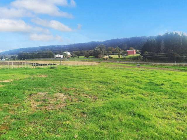 9 Anderson Road Kaukapakapa_4