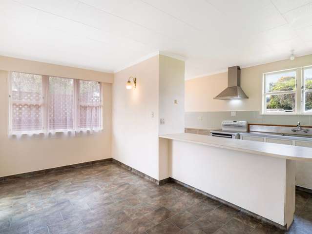 68 Salisbury Street Ashhurst_3