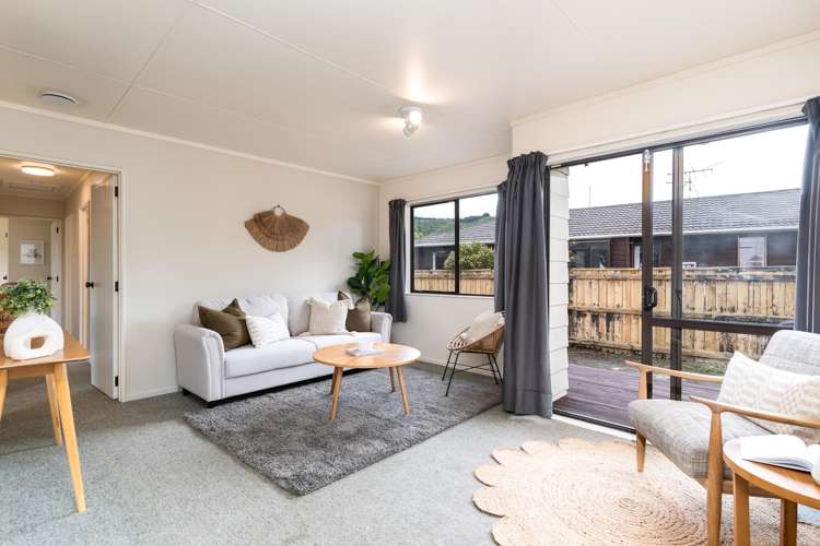 32d Shanly Street Brown Owl_3