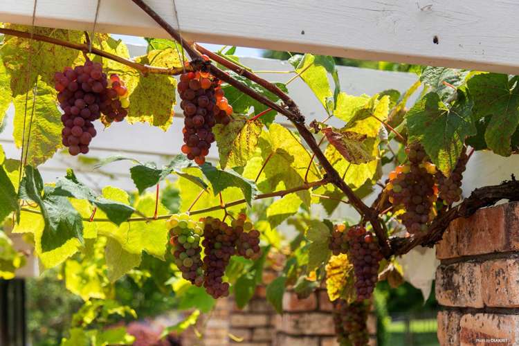 23 Maxted Road Ramarama_25