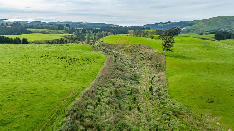 1241 Blythe Road Domett_13