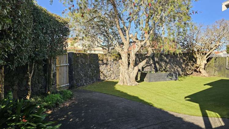 206 Campbell Road Greenlane_25