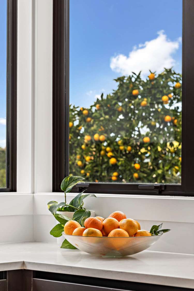 6b Kesteven Avenue Glendowie_17