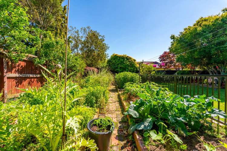 43 Orbell Street Highfield_12