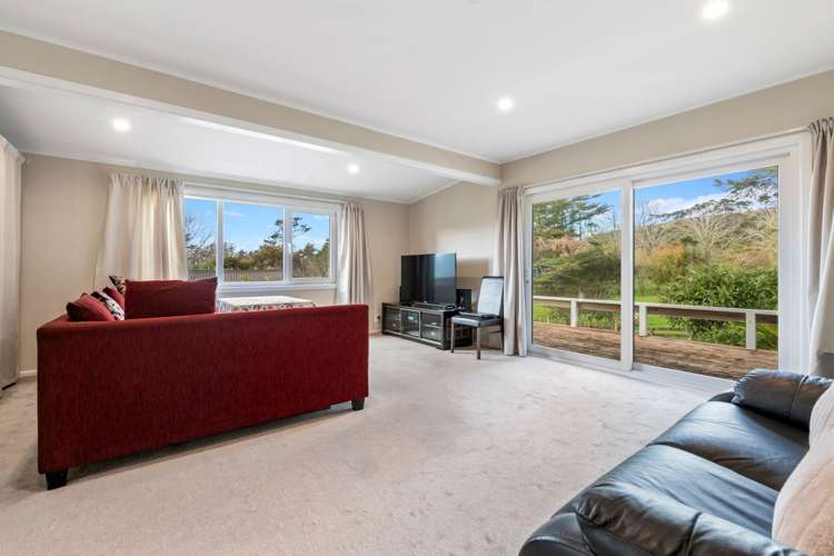 443 Pine Valley Road Dairy Flat_5