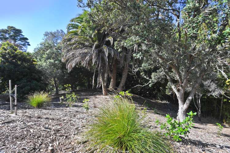 57 Hauraki Road Leigh_23