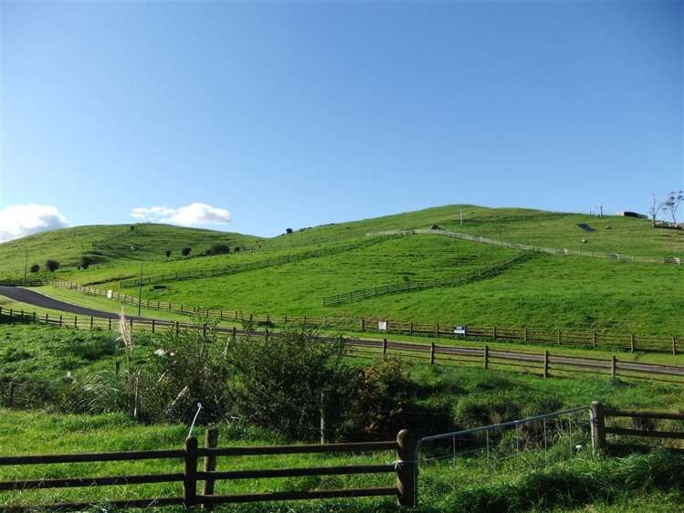 8 Colin Drive Paeroa_1