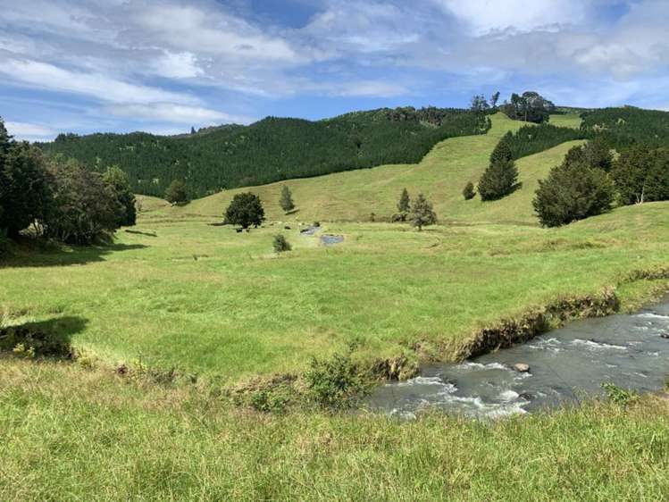 1819 Mataraua Road Kaikohe_30