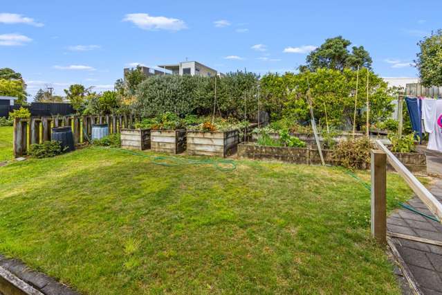 80b Buller Street New Plymouth Central_2