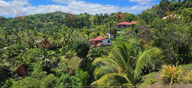 Address withheld Savusavu_4