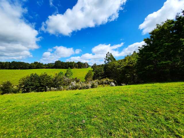 1084 Tangowahine Valley Road Tangowahine_4